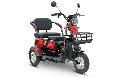 Электротрицикл Rutrike Бумеранг 1909414177