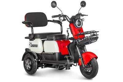 Электротрицикл Rutrike Вега 310034290