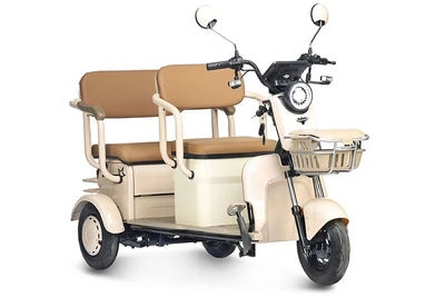 Электротрицикл Rutrike Атлас 746314832