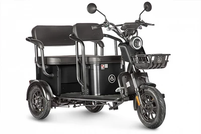 Электротрицикл Wanshida UM+ 60V 1000Вт 200840049