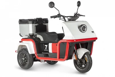 Электротрицикл Wanshida DOUHAO 60V 800Вт 231513185