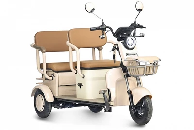Электротрицикл Rutrike Gelbert Atlas 48V/60V 600Вт 1585816405