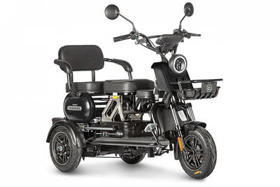 Электротрицикл Wanshida UN MOTO 60V 650Вт 2025733636