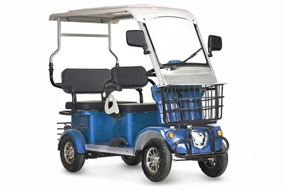 Электротрицикл Rutrike Gelbert Hara 48V/60V 600Вт 816240321