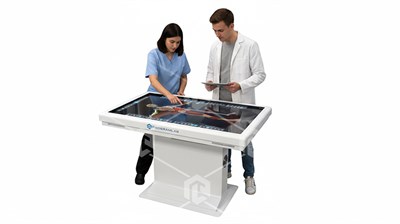 Интерактивный анатомический стол (металл) 50 дюймов 873290855