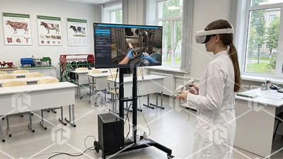 Процедурный VR-тренажер "Методы ухода за КРС" 38876815