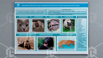 Стенд-планшет светодинамический «Острые отравления животных лекарственными препаратами» 513891620