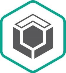 Kaspersky Certified media Pack Customized Russian Edition Media Pack - Установочный комплект Дистрибутив. Русская версия 1996944241