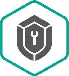 Расширенная техническая поддержка сертификат на 1 год Plus 30171820