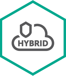 Kaspersky Security для виртуальных и облачных сред (базовая лицензия Core), Электронная лицензия на 1 год по количеству ядер физических процессоров 427766631
