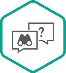 Kaspersky Ask the Analyst (базовый сертификат на 2 года), 10-Case Base Certificate 673199982