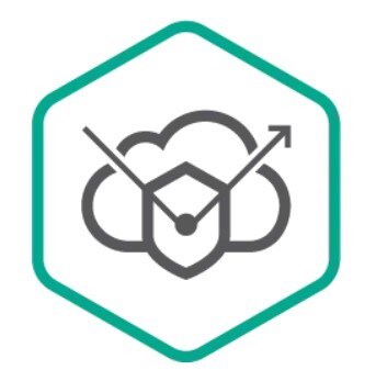 Kaspersky DDoS Prevention Certified media Pack Russian Edition (установочный комплект) 887684934