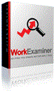 EfficientLab, LLC. Лицензия EfficientLab Work Examiner Standard на 1 год 1281722458