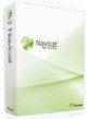 Navicat for MySQL (электронная версия 16 Standard для коммерческих организаций бессрочная), стоимость 1 лицензии 1794407801