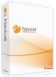 Navicat for SQL Server (электронная версия 16 Enterprise для коммерческих организаций бессрочная), стоимость 1 лицензии 200250855
