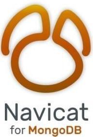 Navicat 17 for MongoDB (лицензия Standard Edition) 2013015323