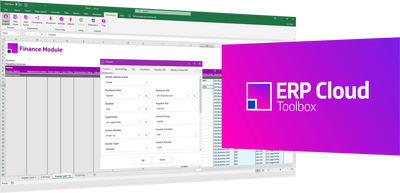 More4apps ERP Cloud Toolbox (лицензия), Starter Pack Includes 2 free seats на 1 год 1864671834