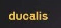Ducalis (подписка Extra на 1 месяц), Up to 500 subs 298099512