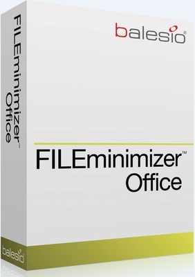 balesio AG FILEminimizer Office (поддержка), Количество лицензии 824056195