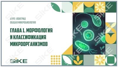 ООО «Корпоративные системы Плюс» Электронный курс Общая микробиология ГЛАВА 1, Морфология и классификация микроорганизмов (лицензия), базовая версия 2036621792