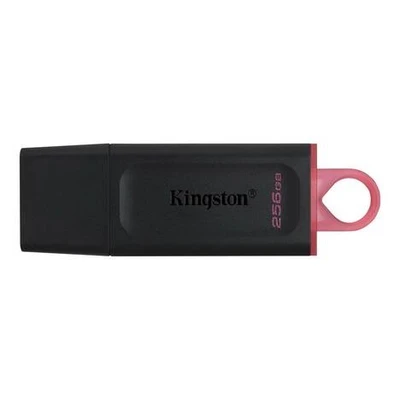 Флешка Kingston DataTraveler Exodia 256Gb 1382093865
