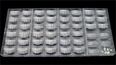 Модуль Exocad Tooth Library 810045700