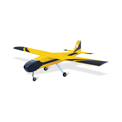 Дрон самолётного типа Skyeye 50cc 346038619