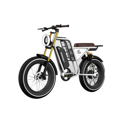 Электробайк CopterParts 2 серии WISH09 1970191088