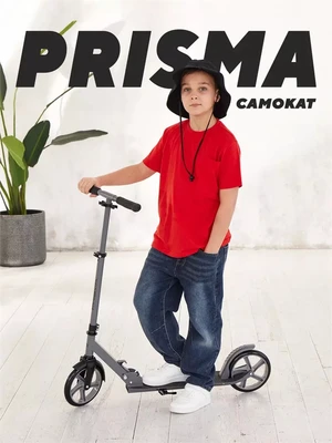 Самокат 2-колесный Mowbaby Prisma Grey 61490721