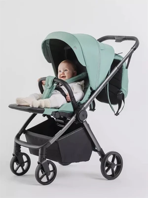 Коляска прогулочная Rant Golf Sage green 147386579
