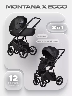 Коляска 2 в 1 Riko Basic Montana X Ecco 12 Black 1672904908