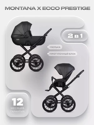 Коляска 2 в 1 Riko Basic Montana X Ecco Prestige 12 Black 1580157130