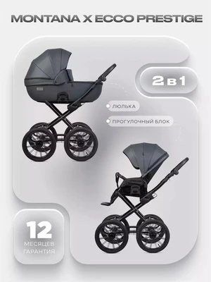 Коляска 2 в 1 Riko Basic Montana X Ecco Prestige 24 Graphite 1946387056