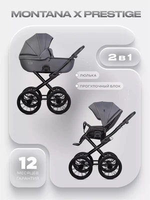 Коляска 2 в 1 Riko Basic Montana X Prestige 04 графит 535291171