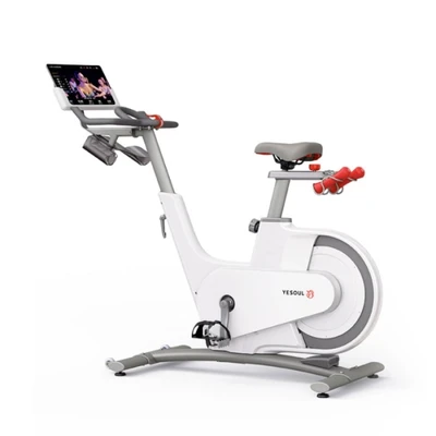 Велотренажер YESOUL Smart Spinning bike V1 белый 928520679