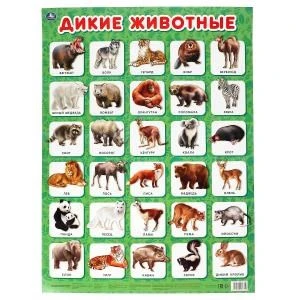Дикие животные. Плакат А2. Умка 978-5-506-05735-2