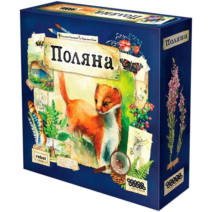 Поляна 1755801640