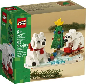 Конструктор детский для строительства LEGO 40571 193819953