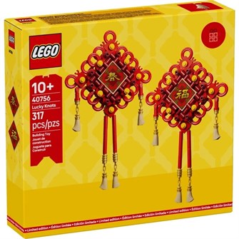 Конструктор детский образовательный LEGO 40756 232350938