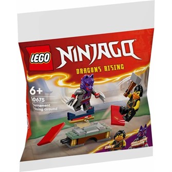 Конструктор развивающий игровой LEGO 30675 183296159