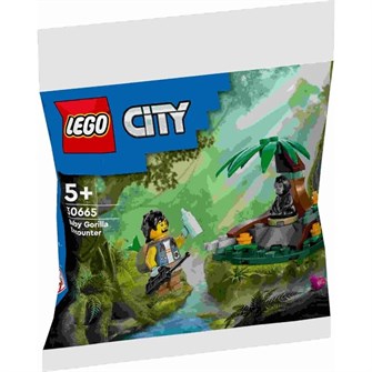 Конструктор детский развивающий LEGO 30665 220849841