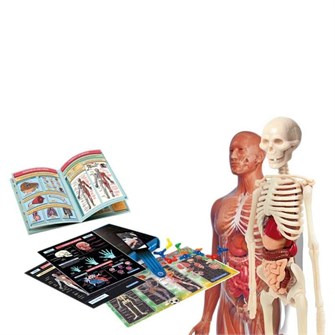 Набор для творчества Clementoni Science Laboratory of Anatomy 109275430