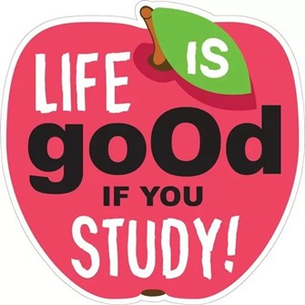 Украшение на скотче "Life is good if you study" 079.367 079.367
