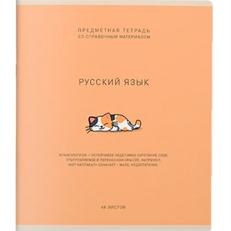 Тетрадь 48 л. Линия Ми-ни-Ми Русский язык 022471 898-821