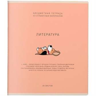 Тетрадь 48 л. Линия Ми-ни-Ми Литература 022464 898-820