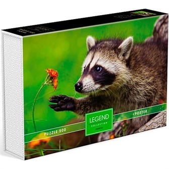 Пазл 500 эл. Любопытный енот + Постер Premium 071316 935-137