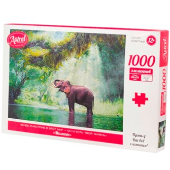 Пазл 1000 Момент 07775 936-051