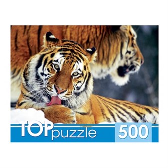 Пазл 500 Два тигра КБТП500-6797 634-553