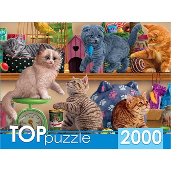 Пазл 2000 Смешные котята в зоомагазине ХТП2000-1596 734-778