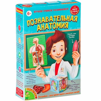 Набор Японские опыты Науки с Буки Познавательная анатомия 196426 ВВ1836 Bondibon 810-193